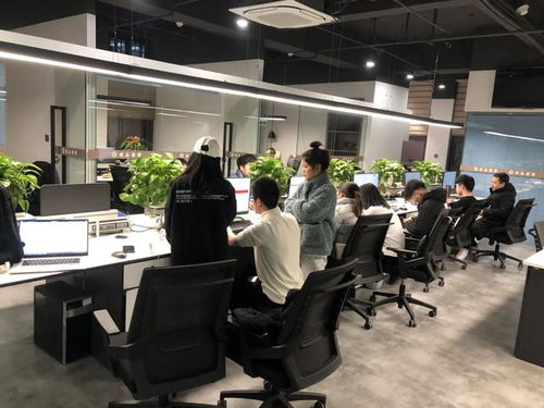 构建 1 n 跨境电商生态圈 瓯海打造全市首个跨境9610进口供应链平台